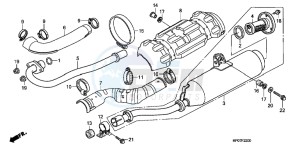 TRX500FEB drawing EXHAUST MUFFLER