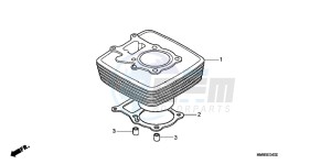 TRX250TMC drawing CYLINDER