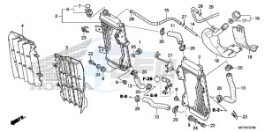 CRF450XE CRF450R Europe Direct - (ED) drawing RADIATOR