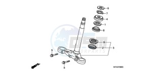 CBF1000AA Europe Direct - (ED / ABS) drawing STEERING STEM