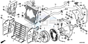 TRX500FA5G TRX500FA Europe Direct - (ED) drawing RADIATOR