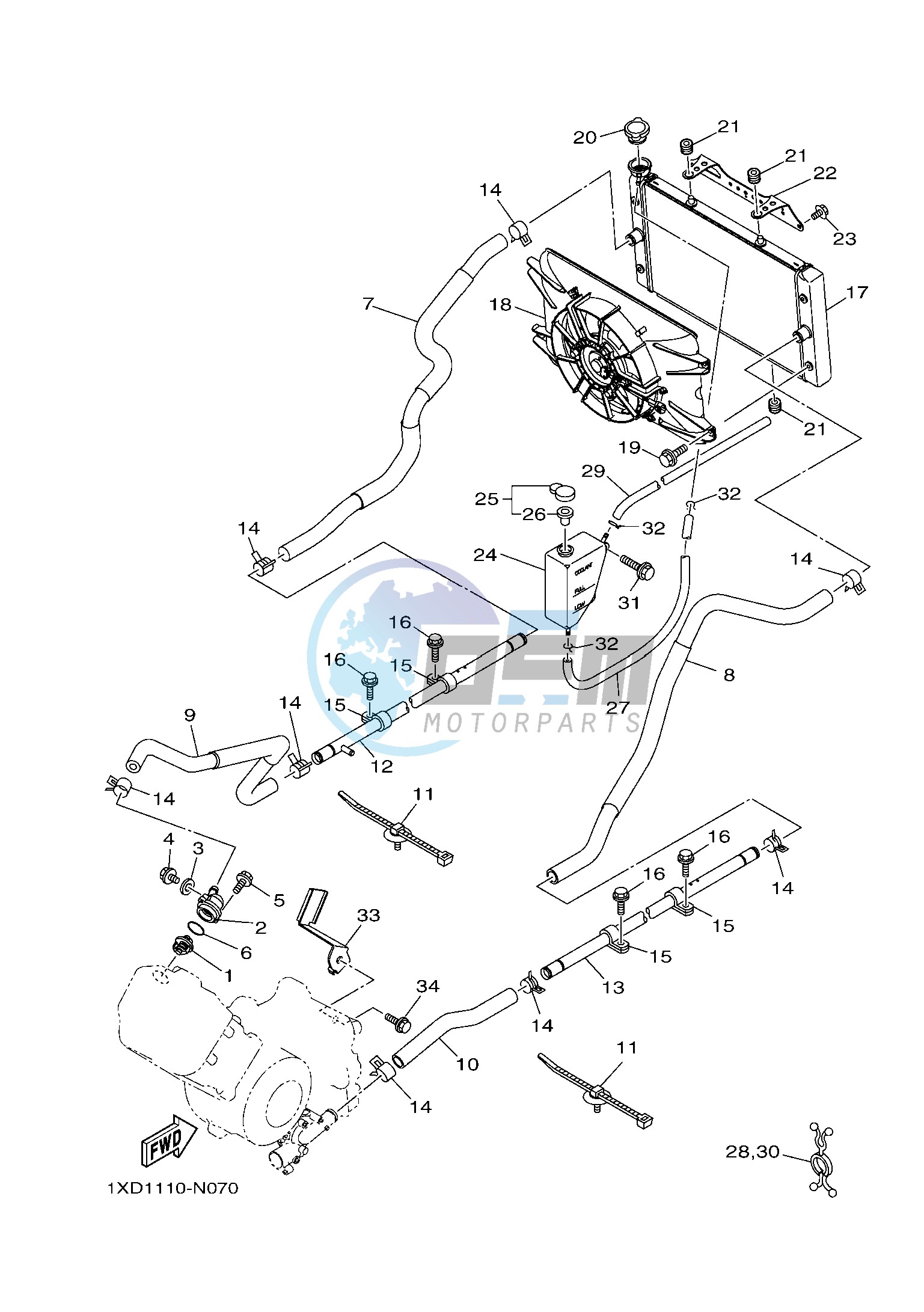 RADIATOR & HOSE