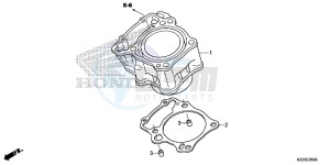 CRF250LE CRF250L Korea - (KO) drawing CYLINDER