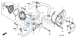 CB600F39 Europe Direct - (ED / ST 25K) drawing WATER PUMP