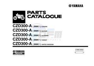 CZD300-A XMAX 300 (BMK1) drawing Infopage-1