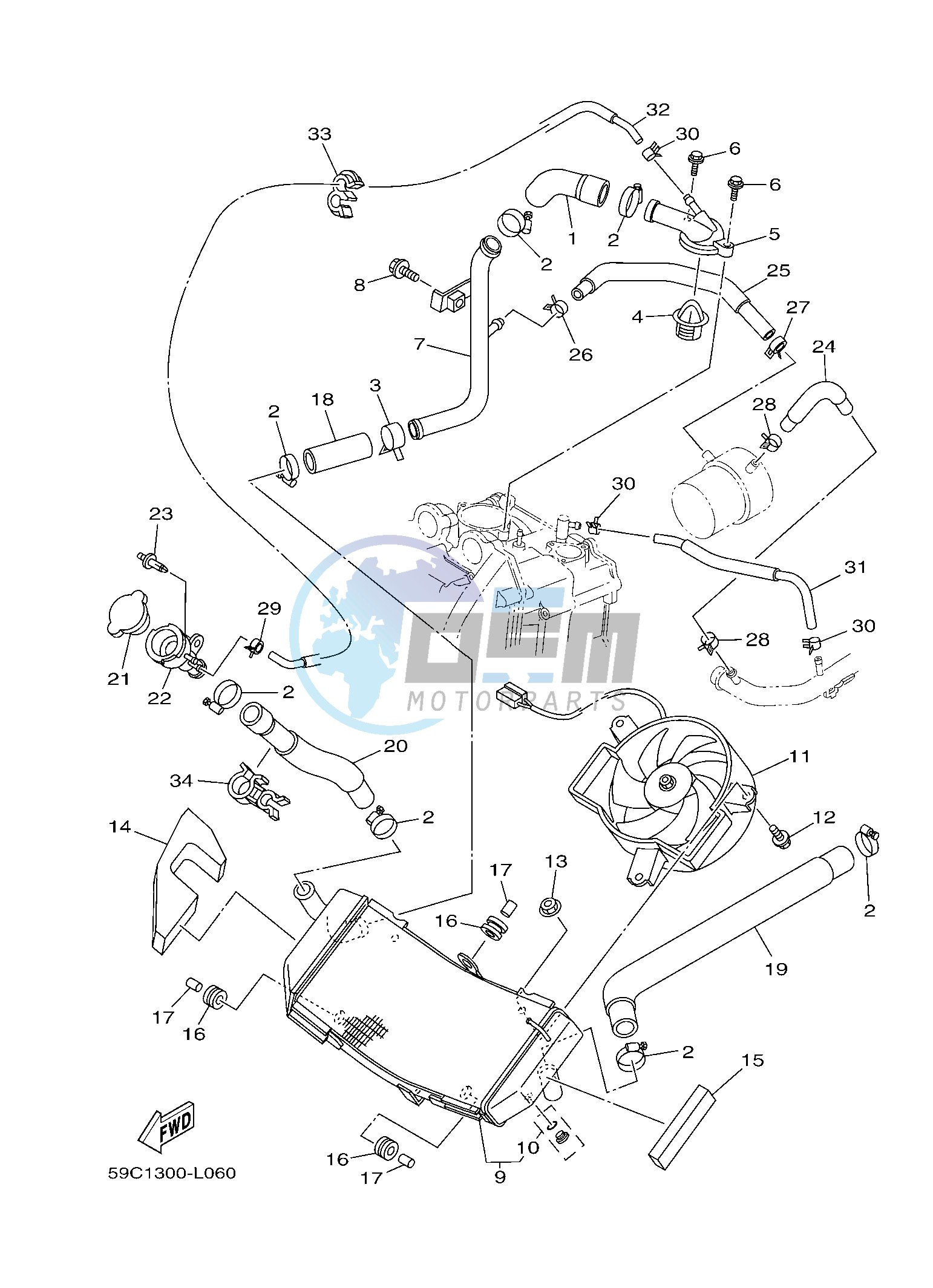 RADIATOR & HOSE