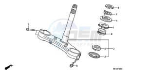 CBR600RA9 France - (F / ABS CMF) drawing STEERING STEM