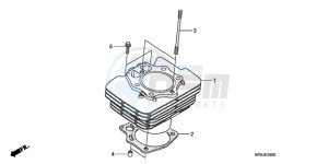 TRX500FE9 Australia - (U) drawing CYLINDER