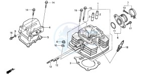 TRX350FM FOURTRAX drawing CYLINDER HEAD