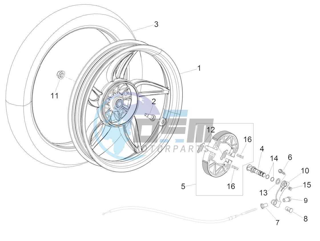 Rear wheel - drum brake