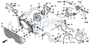 CB1300SA9 Europe Direct - (ED / ABS BCT MME TWO) drawing RADIATOR (CB1300A/CB1300S A)