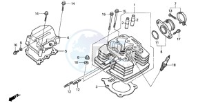 TRX350TM FOURTRAX drawing CYLINDER HEAD