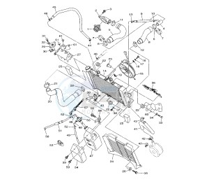 XJ6-S DIVERSION ABS 600 drawing RADIATOR AND HOSE