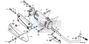 NSS300D Forza - NSS300D UK - (E) drawing EXHAUST MUFFLER