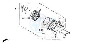 XL650V TRANSALP drawing WATER PUMP