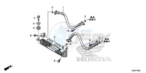 TRX250TMG TRX420 Europe Direct - (ED) drawing OIL COOLER