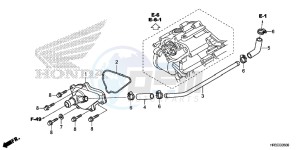 TRX420FM1F TRX420 Europe Direct - (ED) drawing WATER PUMP COVER