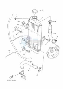 YZ85LW YZ85 (B0GB) drawing RADIATOR & HOSE