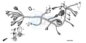 TRX250TM9 Australia - (U) drawing WIRE HARNESS (TRX250TM)