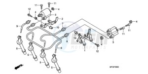 CB600F3A Europe Direct - (ED / ST) drawing IGNITION COIL