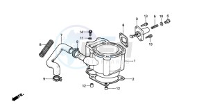 CN250 HELIX drawing CYLINDER