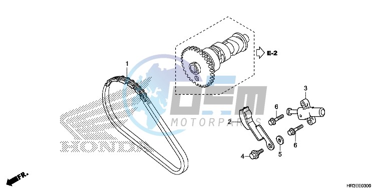 CAM CHAIN/ TENSIONER