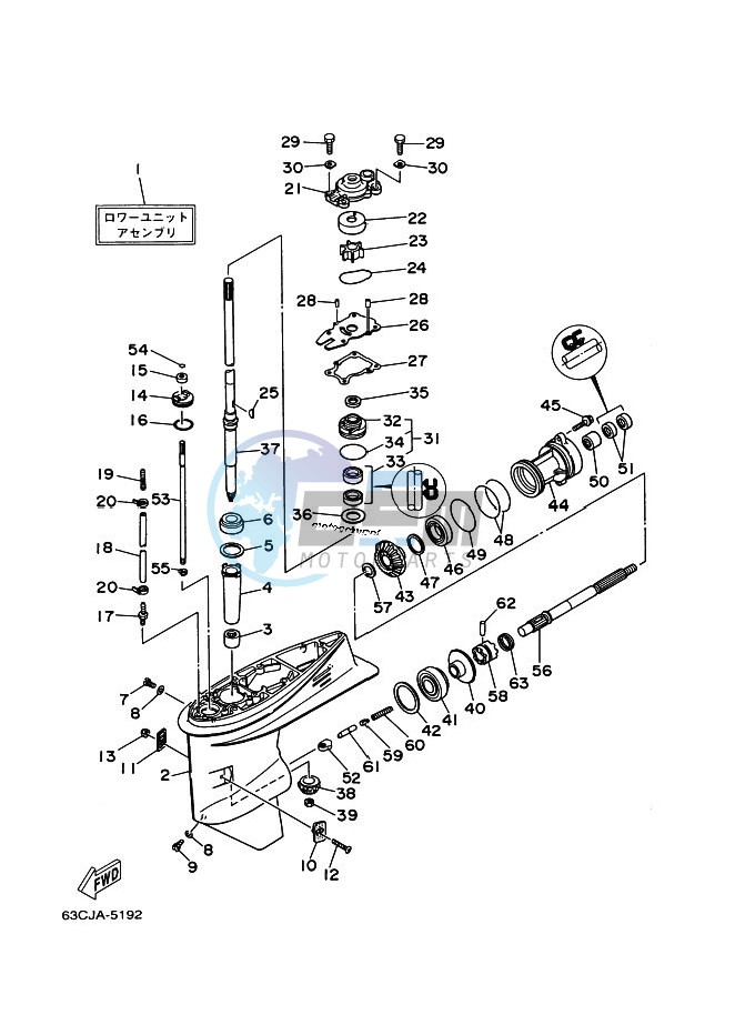 LOWER-CASING-x-DRIVE