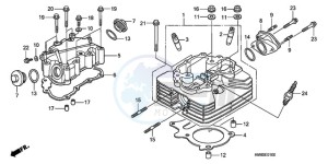 TRX250TMA ED drawing CYLINDER HEAD