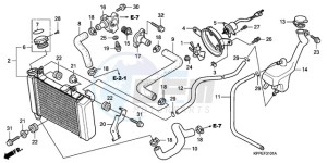 CBR125RWA UK - (E / BLA) drawing RADIATOR (CBR125RW7/RW9/RWA)