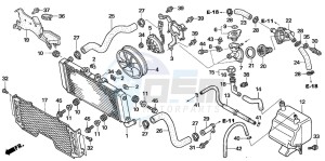 CB1300F CB1300SUPER FOUR drawing RADIATOR (CB1300A/SA)