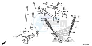 TRX420TE1F TRX420 Europe Direct - (ED) drawing CAMSHAFT/VALVE