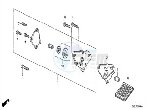 CRF50FH Europe Direct - (ED) drawing OIL PUMP