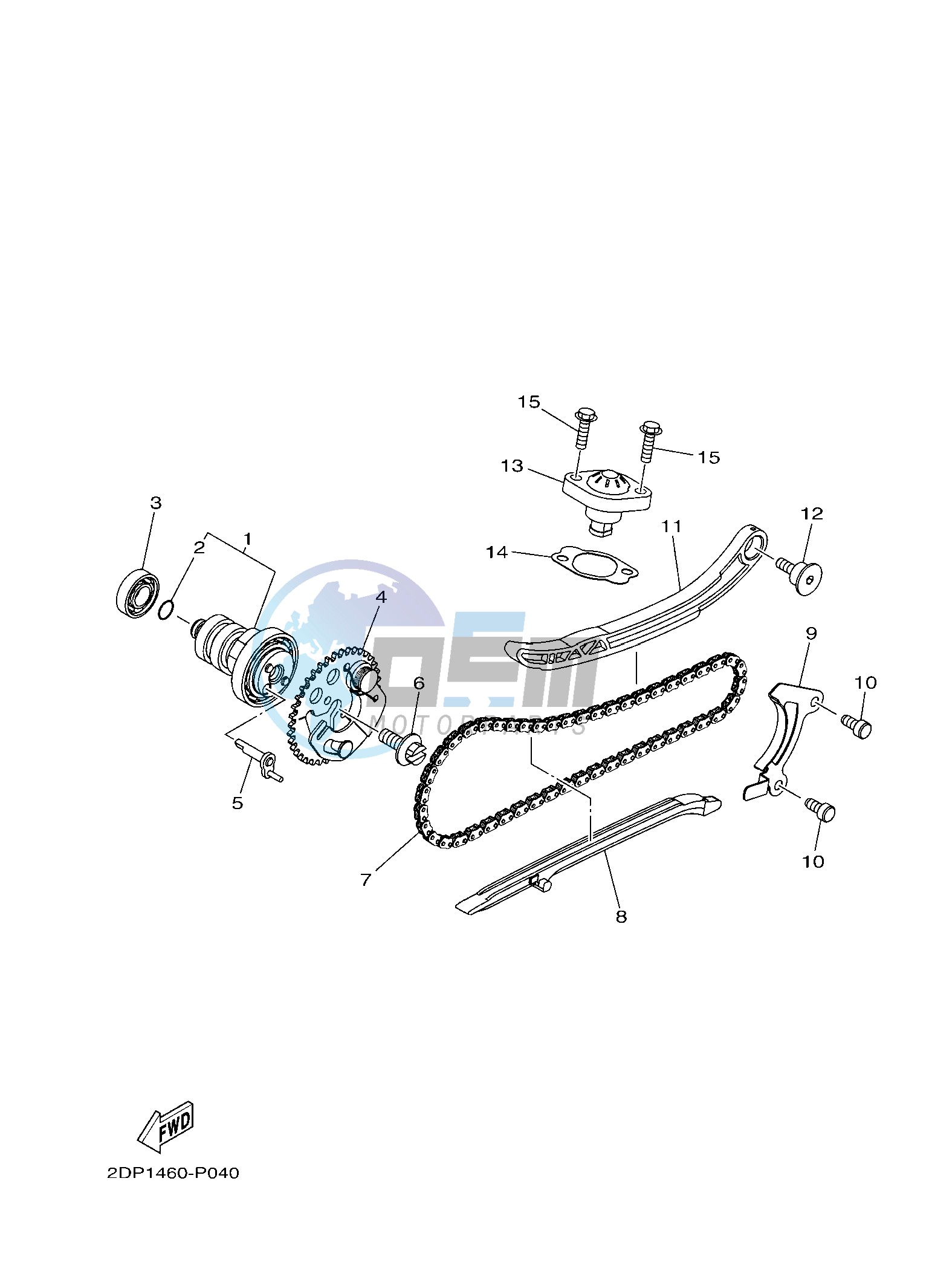 CAMSHAFT & CHAIN