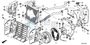 TRX420FA6F TRX420F Australia - (U) drawing RADIATOR