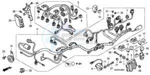 CBF600N9 France - (F / CMF) drawing WIRE HARNESS