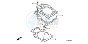 TRX420FA9 Australia - (U) drawing CYLINDER