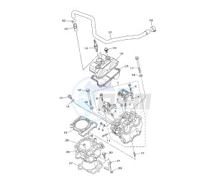 WR F 250 drawing CYLINDER AND HEAD