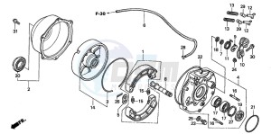 TRX450FM drawing REAR BRAKE PANEL