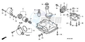 CBF1000AA Europe Direct - (ED / ABS) drawing OIL PAN/OIL PUMP