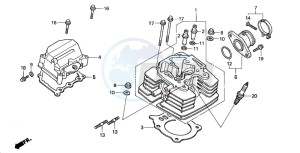 TRX350FM FOURTRAX 350 4X4 drawing CYLINDER HEAD