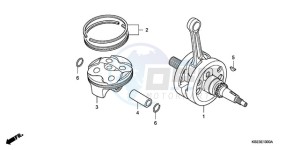 CRF150R9 Europe Direct - (ED / 2ED) drawing CRANKSHAFT/PISTON