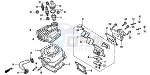 NSR50R drawing CYLINDER/CYLINDER HEAD