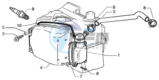 Oil drain valve