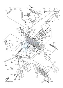 XJ6N 600 XJ6-N (NAKED) (20SF) drawing RADIATOR & HOSE