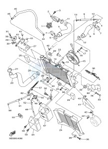 XJ6SA 600 DIVERSION (S-TYPE, ABS) (36DC) drawing RADIATOR & HOSE