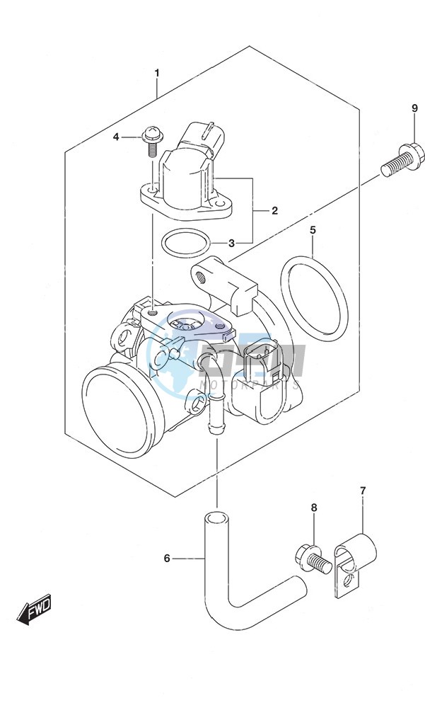 Throttle Body Non-Remote Control