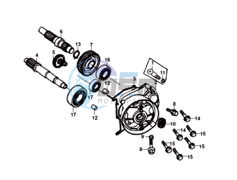 Transmission case-drive shaft