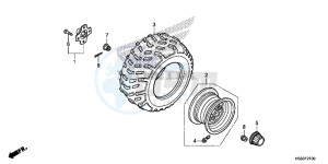 TRX250TMH Europe Direct - (ED) drawing REAR WHEEL