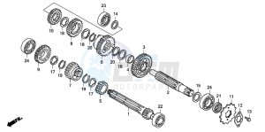 TRX90 drawing TRANSMISSION