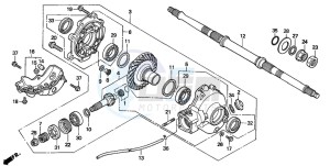 TRX300 FOURTRAX 300 drawing FINAL DRIVEN GEAR